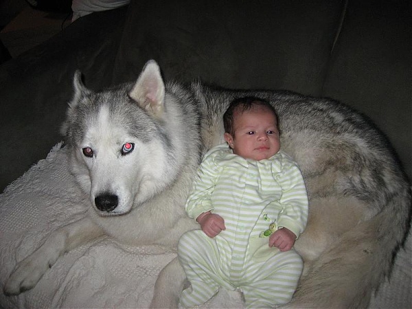 Click image for larger version.&nbsp;

Name:	IMG_0720.jpg&nbsp;
Views:	791&nbsp;
Size:	57.2 KB&nbsp;
ID:	15906