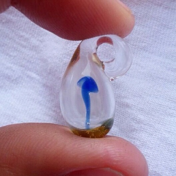 Click image for larger version.&nbsp;

Name:	shroom 2.jpg&nbsp;
Views:	469&nbsp;
Size:	84.5 KB&nbsp;
ID:	41838