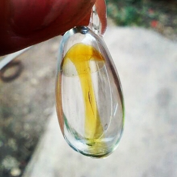 Click image for larger version.&nbsp;

Name:	shroom.jpg&nbsp;
Views:	462&nbsp;
Size:	74.7 KB&nbsp;
ID:	41839