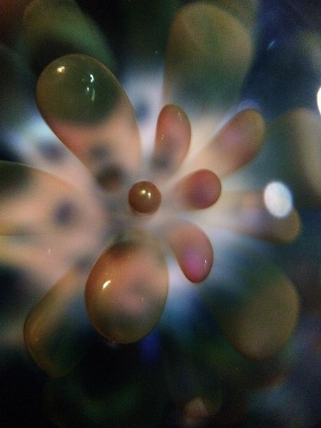 Click image for larger version.&nbsp;

Name:	5741D96E-A832-4D0D-B6E0-B7E343E37A35.jpg&nbsp;
Views:	272&nbsp;
Size:	69.7 KB&nbsp;
ID:	59009