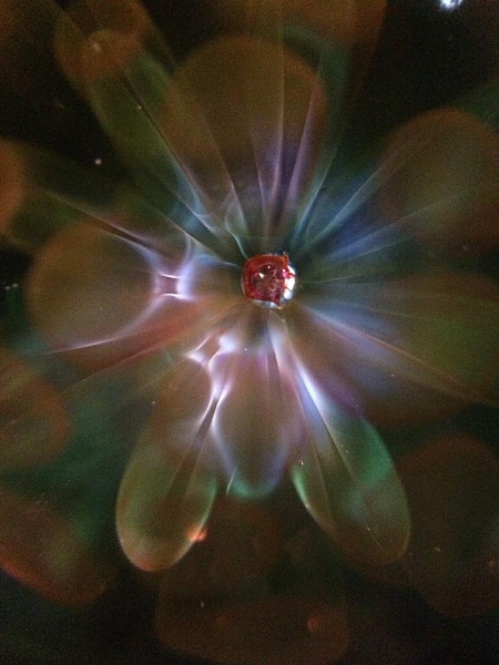 Click image for larger version.&nbsp;

Name:	61636C76-1860-49C7-992B-CDA50FAE8674.jpg&nbsp;
Views:	278&nbsp;
Size:	82.8 KB&nbsp;
ID:	59010