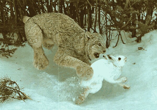 Name:  uploadfromtaptalk1400079971594.jpg
Views: 947
Size:  76.1 KB