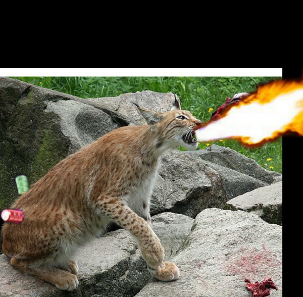 Click image for larger version.&nbsp;

Name:	pizap.com14000825509201.jpg&nbsp;
Views:	408&nbsp;
Size:	136.8 KB&nbsp;
ID:	61351