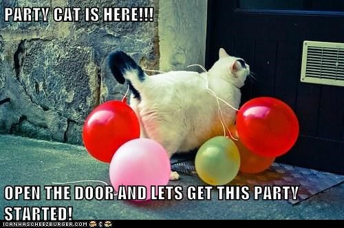 Name:  download.jpg
Views: 987
Size:  45.4 KB