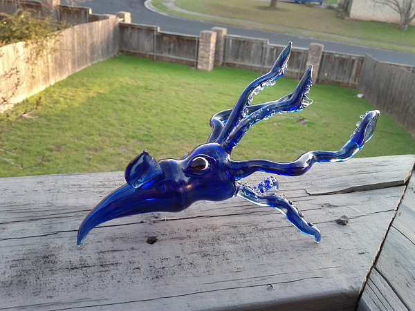 Click image for larger version.&nbsp;

Name:	squid 1.jpg&nbsp;
Views:	478&nbsp;
Size:	1.45 MB&nbsp;
ID:	72540