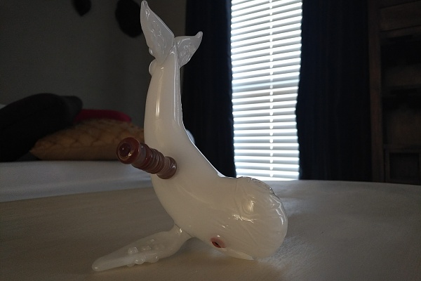 Click image for larger version.&nbsp;

Name:	Chady Lacy 2.jpg&nbsp;
Views:	554&nbsp;
Size:	552.0 KB&nbsp;
ID:	92171