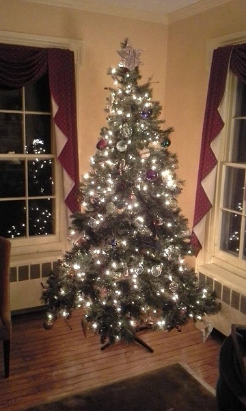 Click image for larger version. 

Name:	x-mas_tree.jpg 
Views:	262 
Size:	72.0 KB 
ID:	69957
