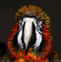 S2's Avatar