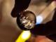 Black Lab Glass's Avatar
