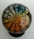 Northwinds Glass's Avatar