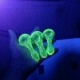 easilyamusedglas's Avatar