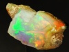 OPAL's Avatar
